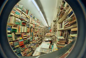 List of peer-reviewed journal articles and other reliable resources for VA psychologist examiners