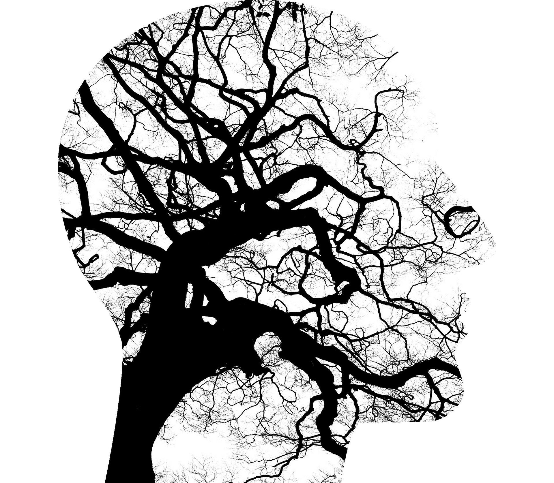 Neurons as tree branches